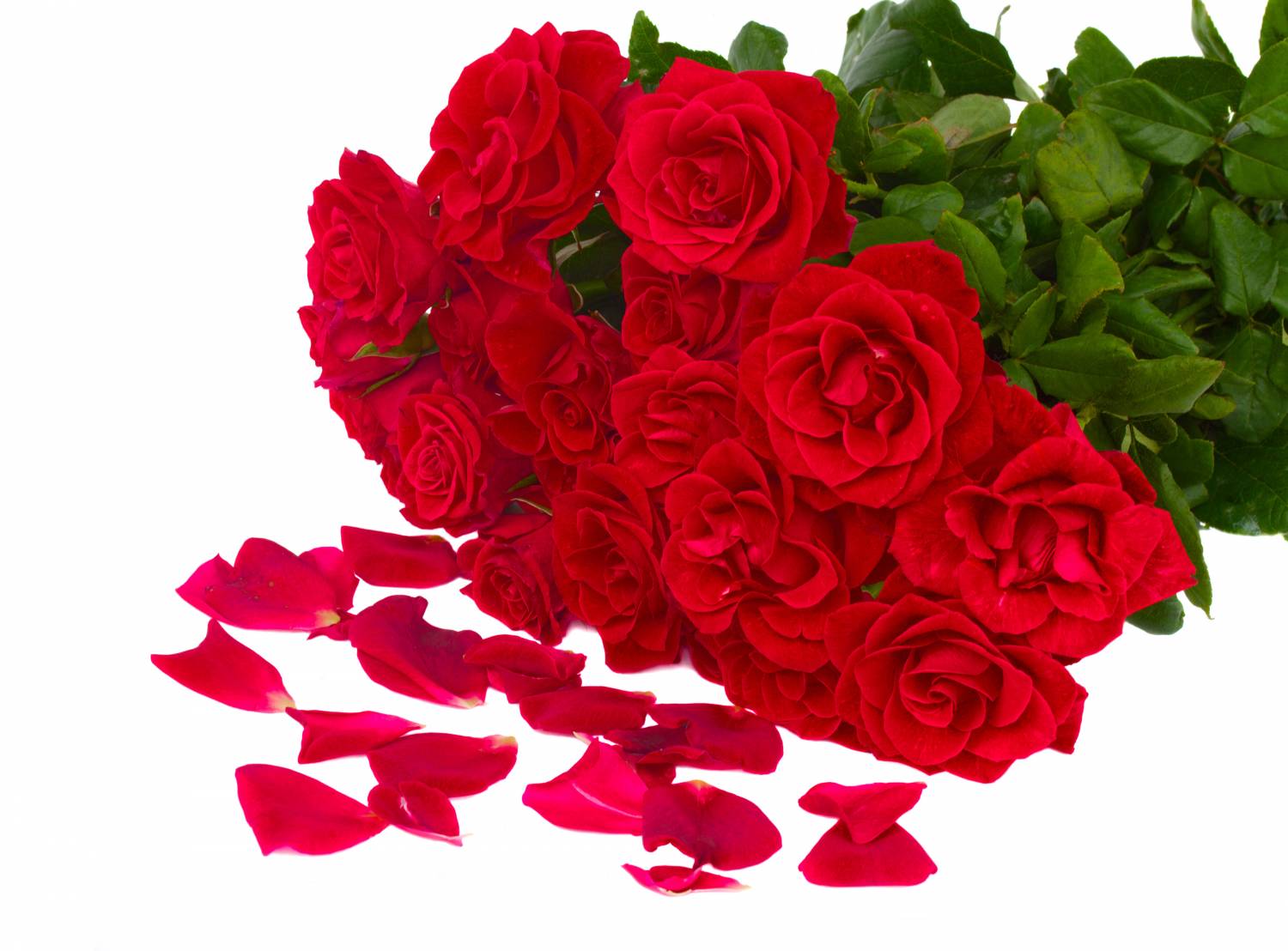 Открытка Букет роз для Тебя! - Цветы подруга Pinterest Floral 52 Открытка Букет роз для Тебя! - Цветы подруга Pinterest Floral 78